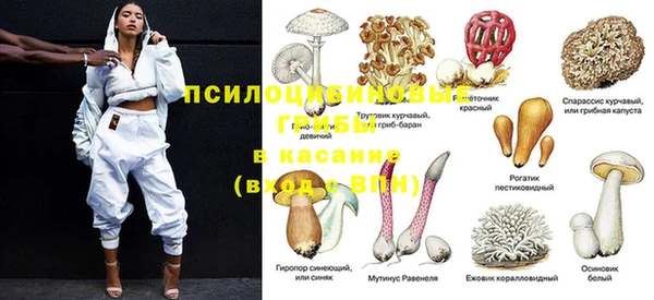 эйфоретик Бронницы